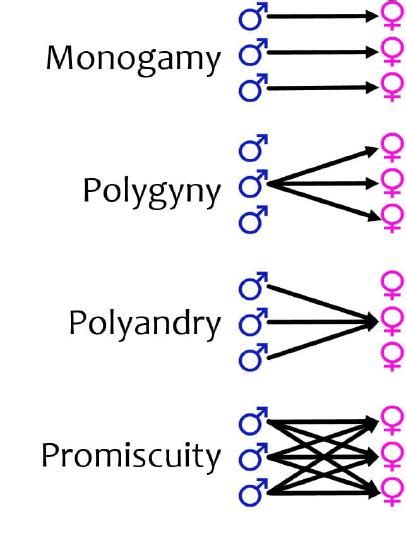 mating|6.5: Mating Systems